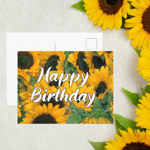 Carte postale d'anniversaire Tournesols joyeux