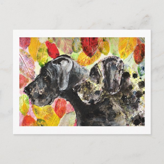Carte Postale Danois artwork Grands Danois (Devant)