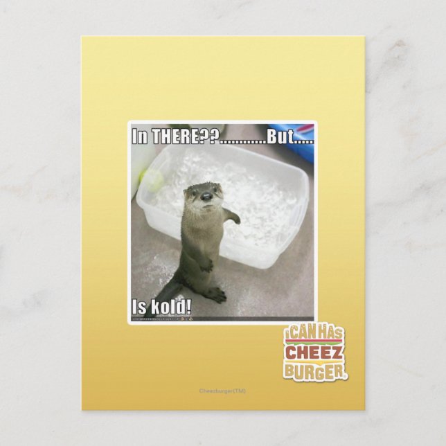 Carte Postale Dans là ? Est Kold ! (Devant)