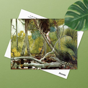 Carte Postale Dans la Jungle Florida Winslow Homer