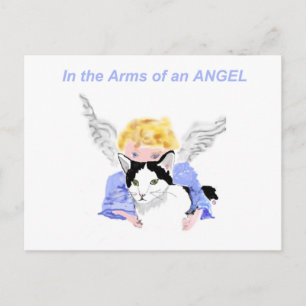 Carte Postale Dans les armoiries d'un ange