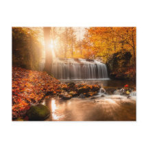 DANS LES COULEURS DE L'AUTOMNE