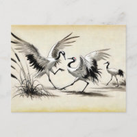 Danse de Courtoisie de deux grues dans le marais c