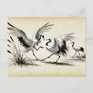 Carte Postale Danse de Courtoisie de deux grues dans le marais c