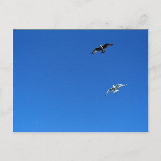 Carte Postale danse de la liberté