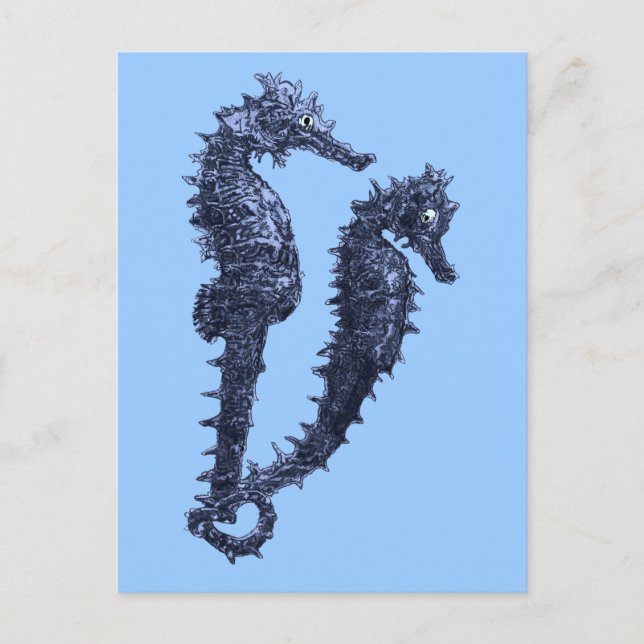 Carte Postale Danse Des Chevaux De Mer (Bleu) (Devant)