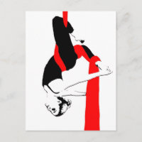 Danseur de soies aériennes Gemini Pose