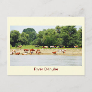 Carte Postale Danube