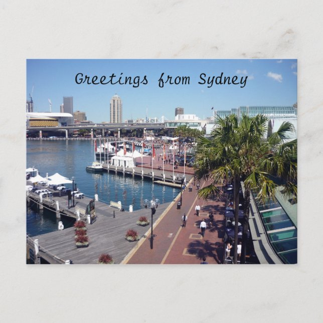 Carte Postale darbor sydney (Devant)