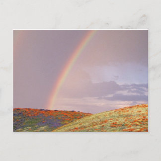 Carte postale d'arc-en-ciel