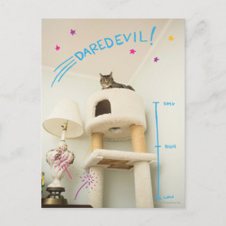 Carte Postale Daredevil Cat