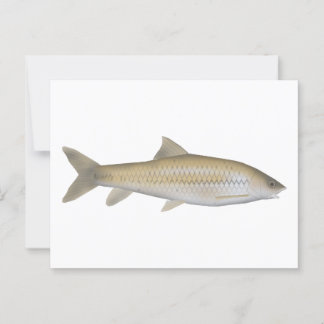 Carte Postale Dark Mahseer