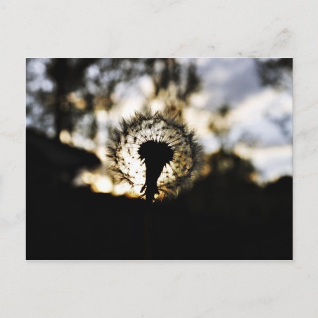 Carte Postale Dark N Dandy (Devant)