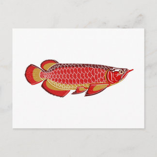 carte postale d'arowana
