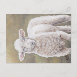 Carte postale d'art animal de mouton d'agneau conv