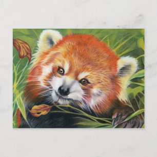 Carte postale d'art animal Red Panda