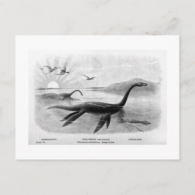 Carte postale d'art de lézard de mer à cou long (Devant)