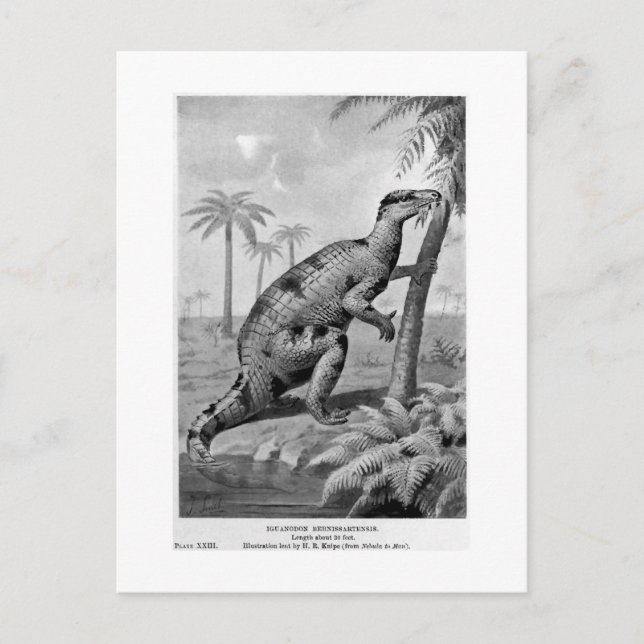 Carte postale d'art Iguanodon bernissartensis (Devant)