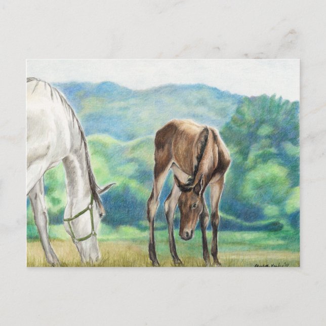 Carte postale d'art original Mare & Foal (Devant)
