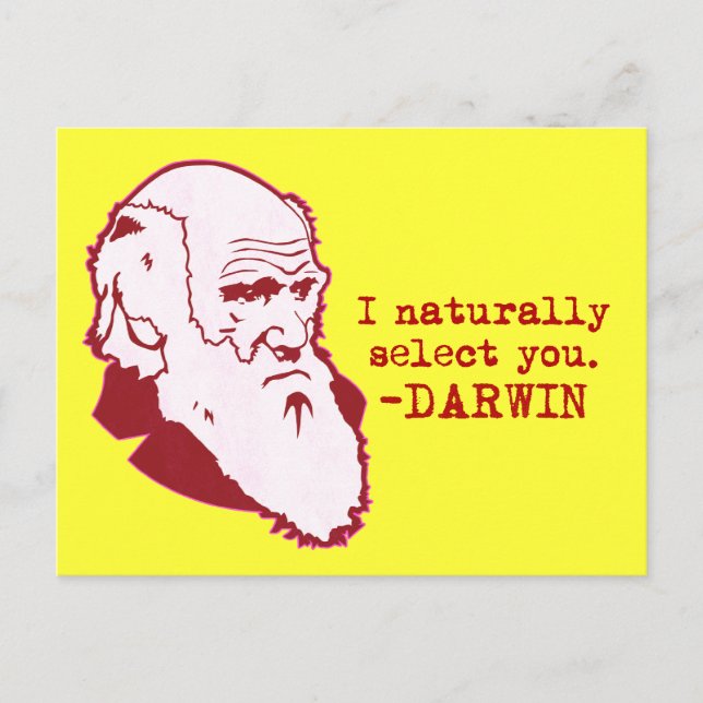 Carte Postale Darwin (Devant)