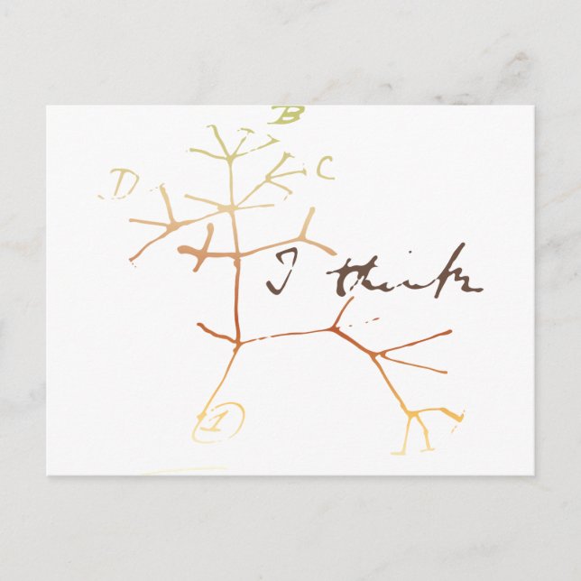Carte Postale Darwin, je pense à l'arbre de vie (Devant)