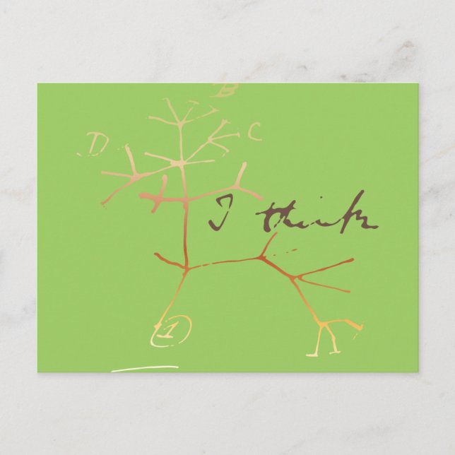 Carte Postale Darwin, je pense à l'arbre de vie (Devant)