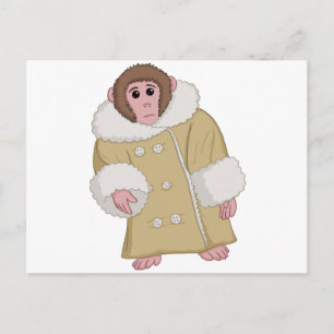 Carte Postale Darwin le singe Ikea