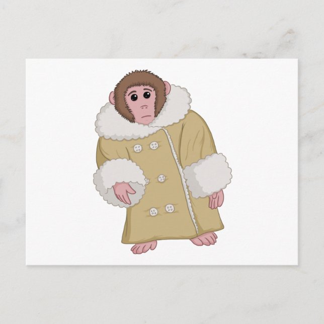 Carte Postale Darwin qu'Ikea Monkey (Devant)