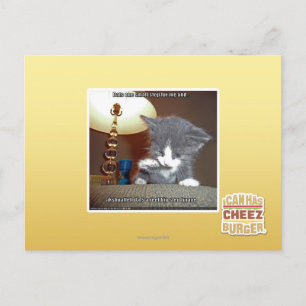 Carte Postale Dats une petite fourrure d'étape je