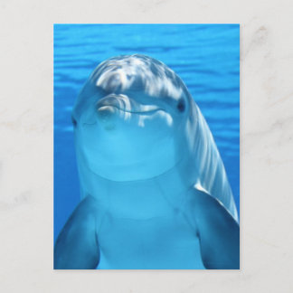 Carte Postale Dauphin