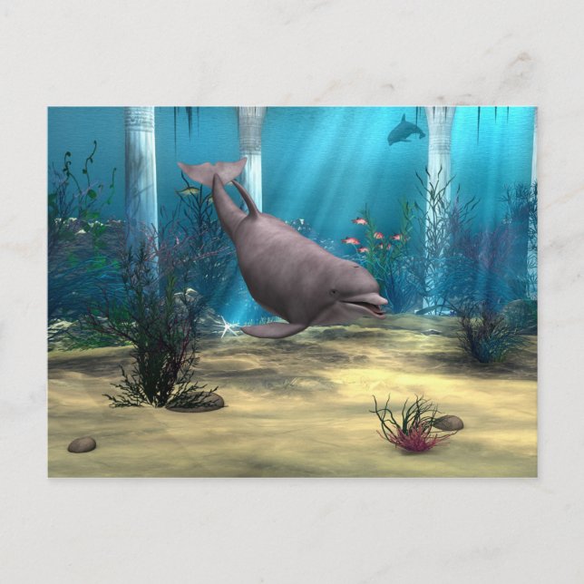 Carte Postale Dauphin (Devant)