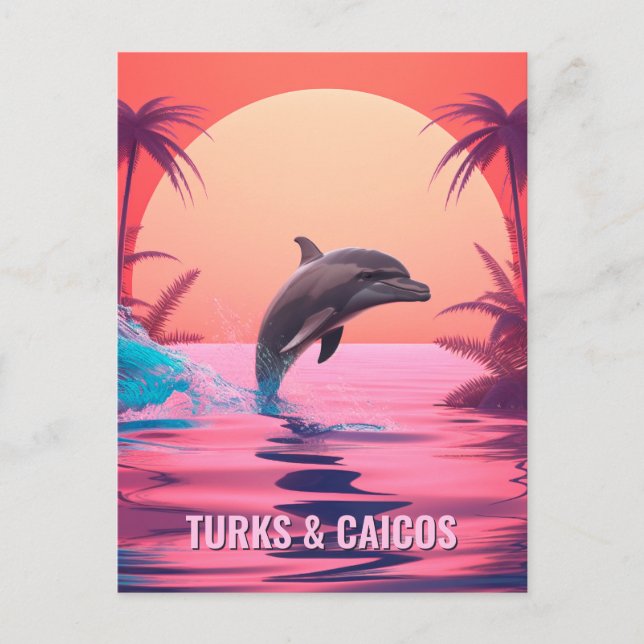 Carte Postale Dauphin de Turc et Caicos (Devant)