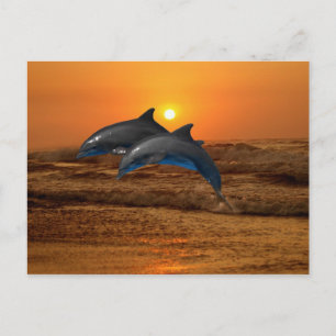 Carte Postale Dauphin de verdure au coucher du soleil