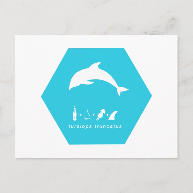 Carte Postale dauphin en bouteille hex.png bleu (Devant)