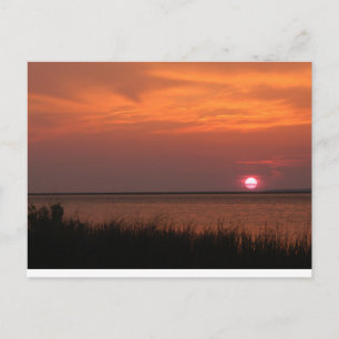 Carte Postale Dauphin Island, AL Sunset