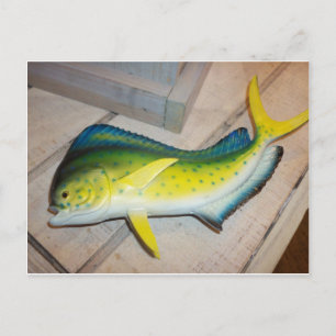 Carte Postale Dauphin Le Poisson (Pas Le Mammifère)