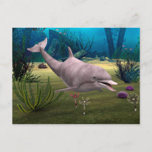 Carte Postale Dauphin souriant