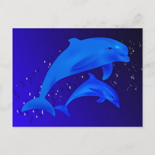 Carte Postale Dauphins