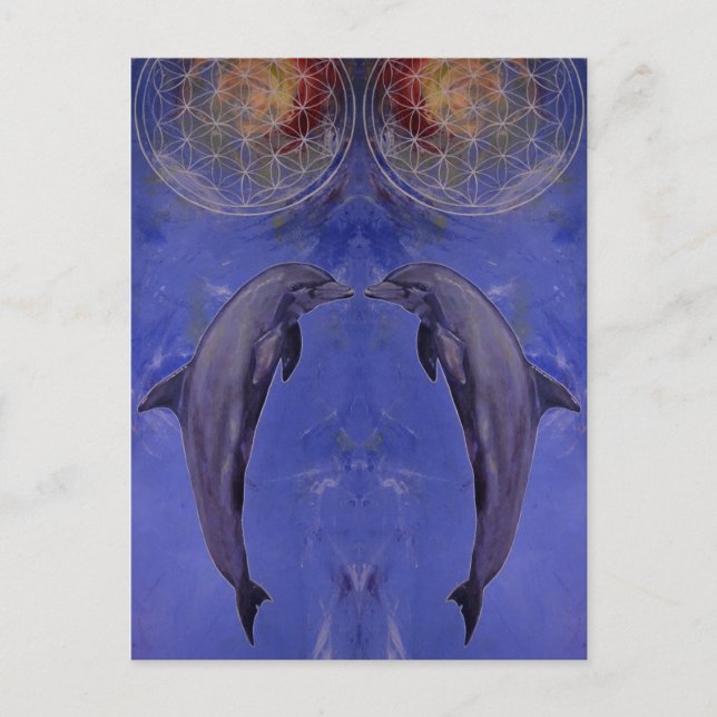 Carte Postale dauphins (Devant)