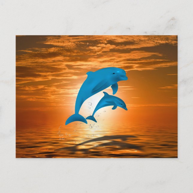Carte Postale Dauphins (Devant)