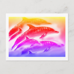 Carte Postale Dauphins arc-en-ciel art