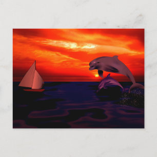 Carte Postale Dauphins au coucher du soleil