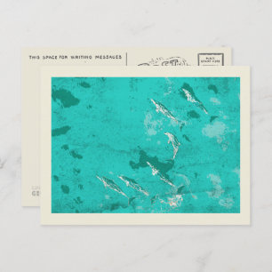 Carte Postale Dauphins dans la mer des Caraïbes