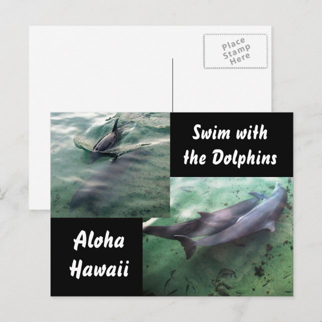 Carte Postale Dauphins d'Hawaï (Devant / Derrière)