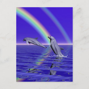 Carte Postale Dauphins et arc-en-ciel