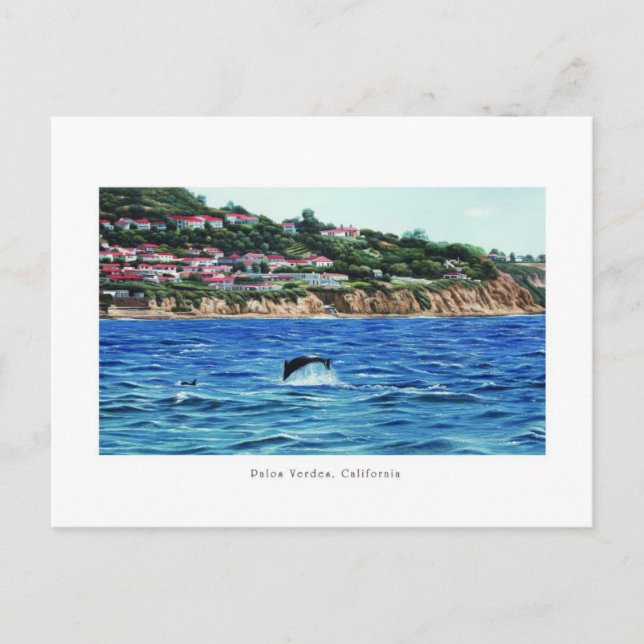 Carte Postale Dauphins Près De Palos Verdes (Devant)