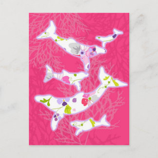 Carte Postale Dauphins sur arrière - plan rose clair.
