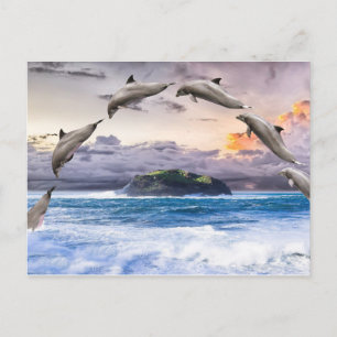 Carte Postale Dauphins volants