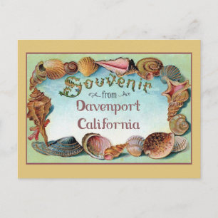 Carte Postale Davenport Californie Coquillages Voyage Vintage 