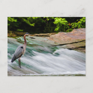 Carte Postale David Fortier River Park, Olmsted Falls, Ohio